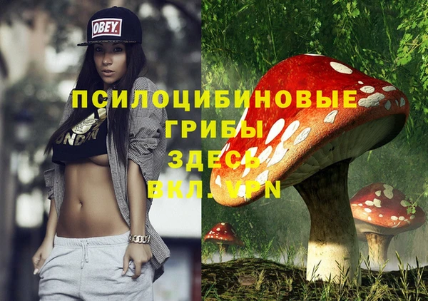 молекула духа Аркадак