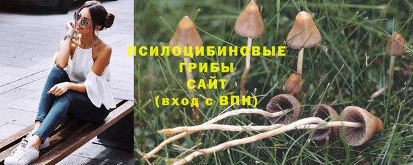 меф Армянск