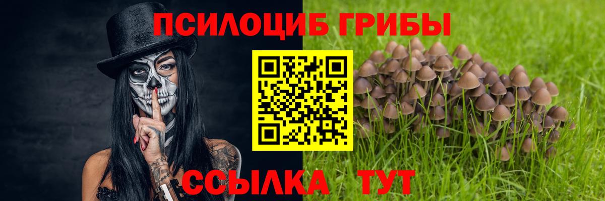 Баксан  Псилоцибиновые грибы ЛСД  Вход с VPN  Галлюциногенные грибы Psilocybine cubensis 