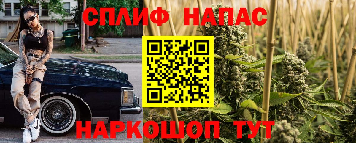 МАРИХУАНА ГИДРОПОН Баксан